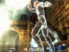 The Elder Scrolls IV Oblivion - Imagen