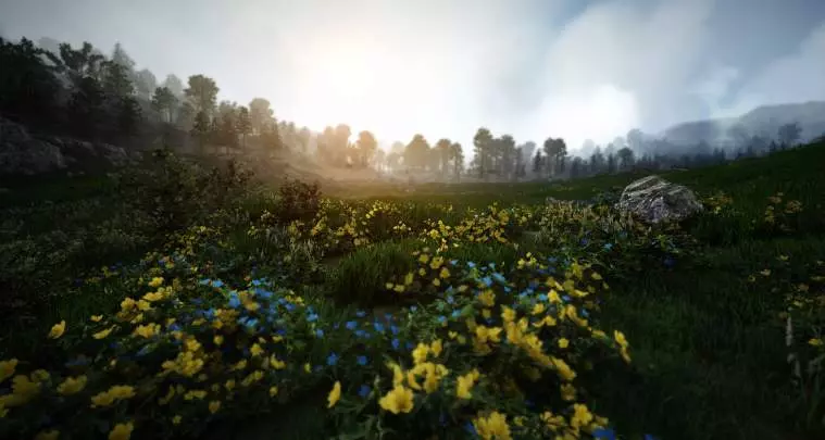 Black Desert Online - PC