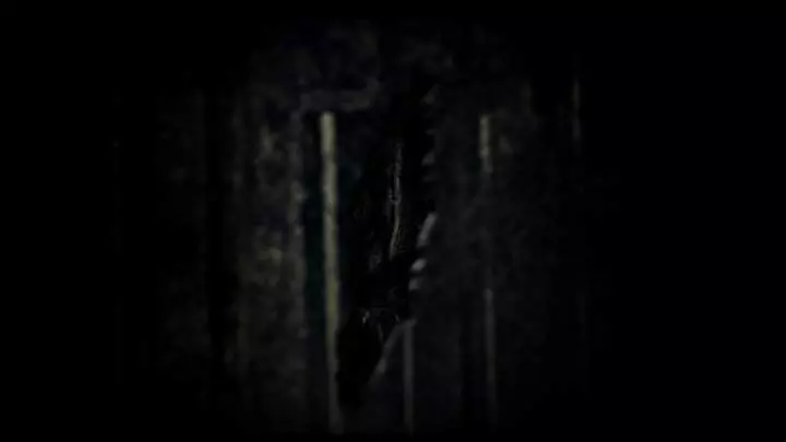 Silence of the Sleep