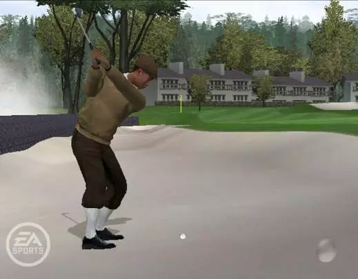 Tiger Woods PGA Tour 06
