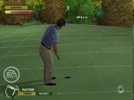 Tiger Woods PGA Tour 06