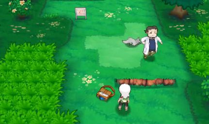 Imagen de Pokémon Rubí Omega / Zafiro Alfa
