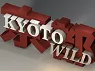 Kyoto Wild