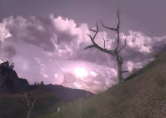 LOTR Las Sombras de Angmar - PC