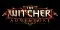 The Witcher Adventure Game