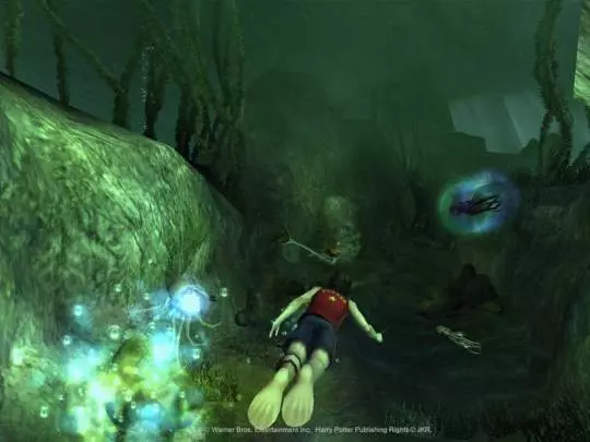 Harry Potter y el Cáliz de Fuego