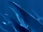 ABZÛ - Imagen PC