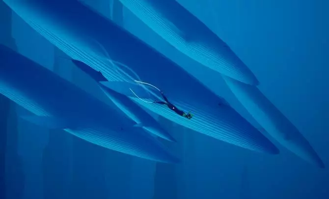 ABZÛ - PC
