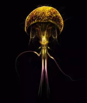 Underworld Ascendant