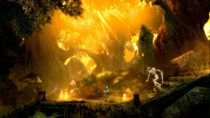 Trine Enchanted Edition - PC