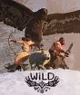 WiLD PS4
