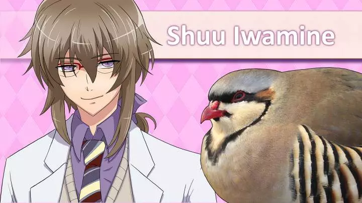 Hatoful Boyfriend