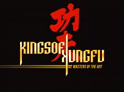 Carátula de Kings of Kung Fu - PC