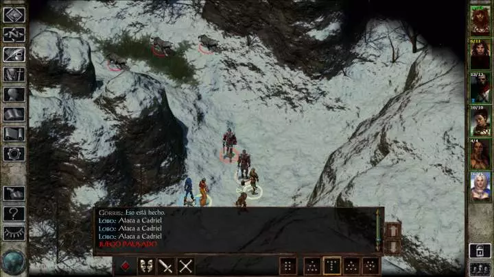 Icewind Dale: Enhanced Edition