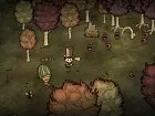 Don't Starve - Together 