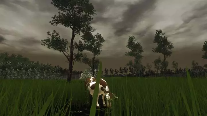 Grass Simulator