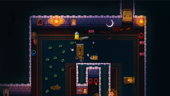 Enter the Gungeon