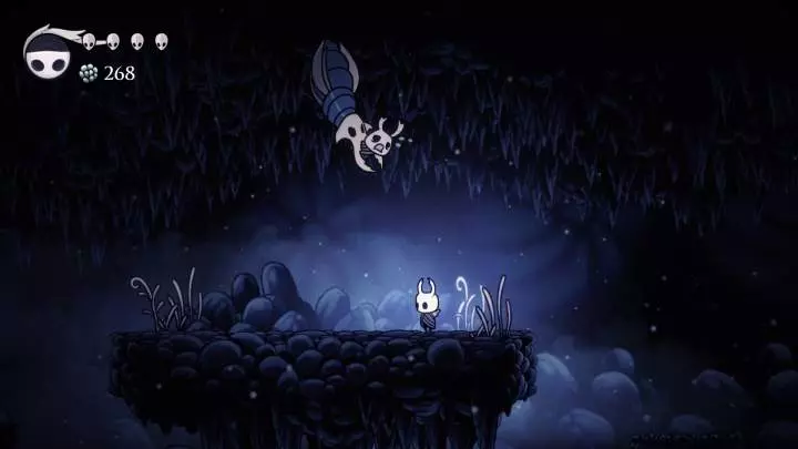 Hollow Knight