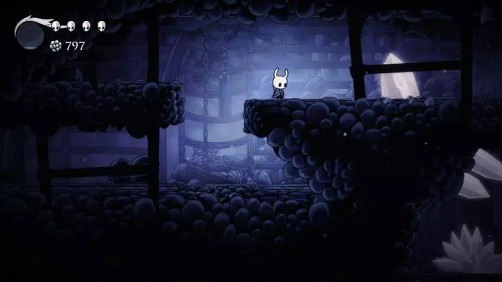 Hollow Knight