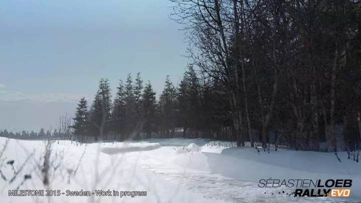 Sébastien Loeb Rally Evo - PS4