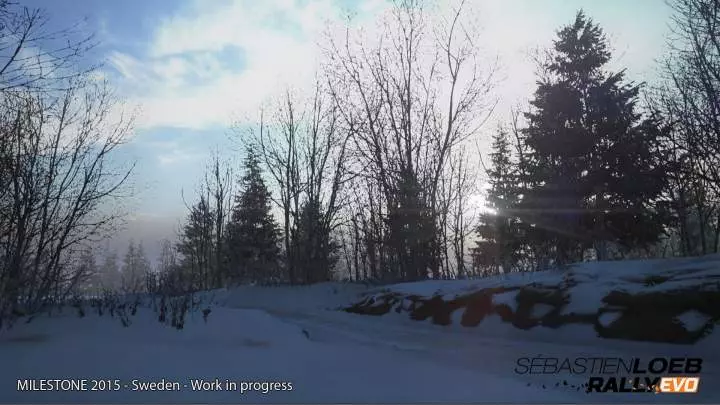 Sébastien Loeb Rally Evo