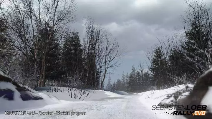 Sébastien Loeb Rally Evo - PS4