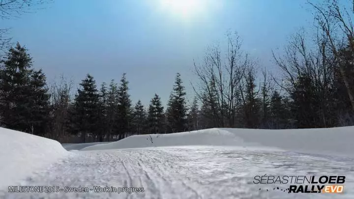 Sébastien Loeb Rally Evo