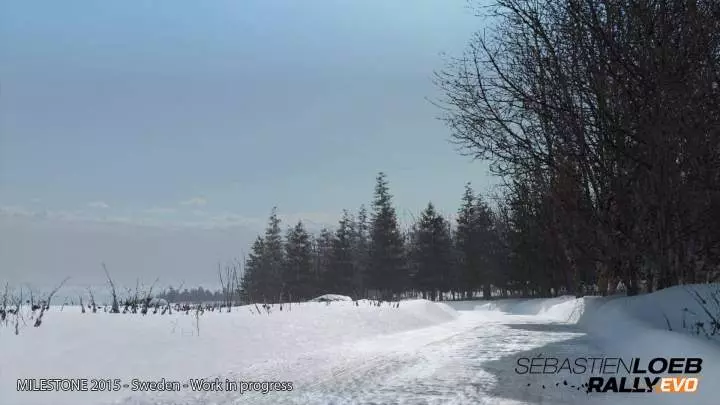 Sébastien Loeb Rally Evo