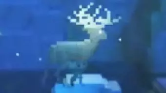 The Deer God: Tráiler