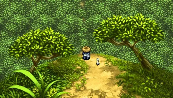 Shiren the Wanderer 5
