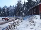 WRC 5 - Imagen