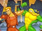 Battletoads Double Dragon