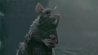 Warhammer The End Times - Vermintide: Tráiler Cinemático de Lanzamiento