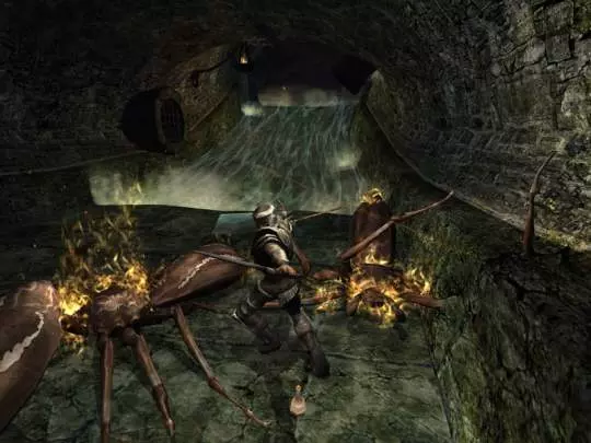 Dungeons & Dragons Online