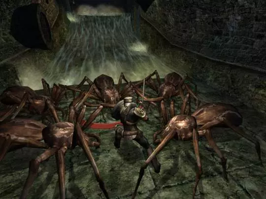 Dungeons & Dragons Online - PC