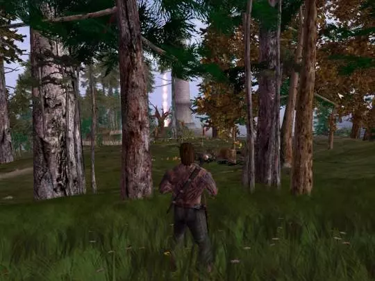 Ascension to the Throne