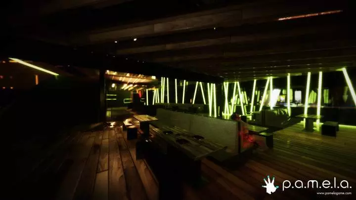 P.A.M.E.L.A.
