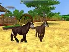 Zoo Tycoon 2 Endangered Species