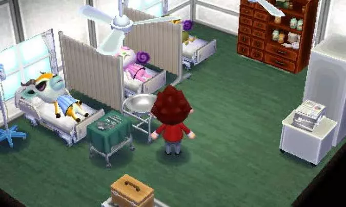 Animal Crossing Happy Home Designer