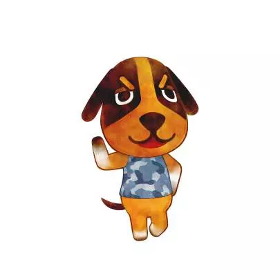 Animal Crossing Happy Home Designer