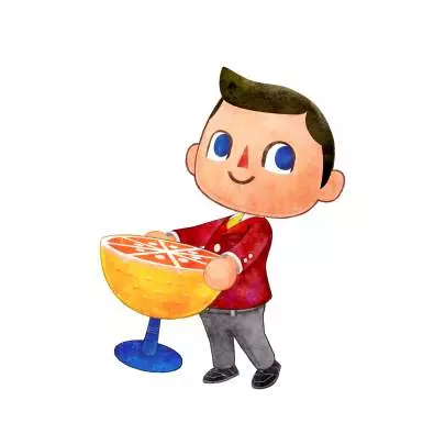 Animal Crossing Happy Home Designer