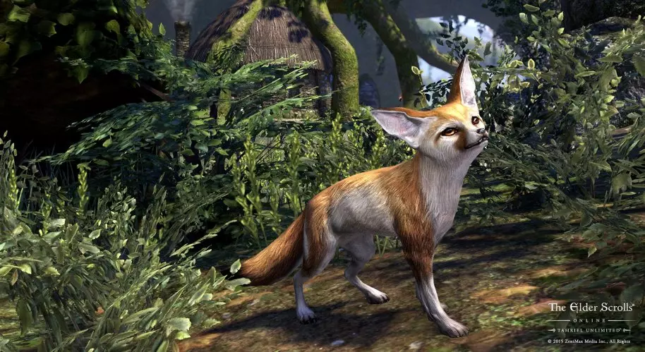 The Elder Scrolls Online