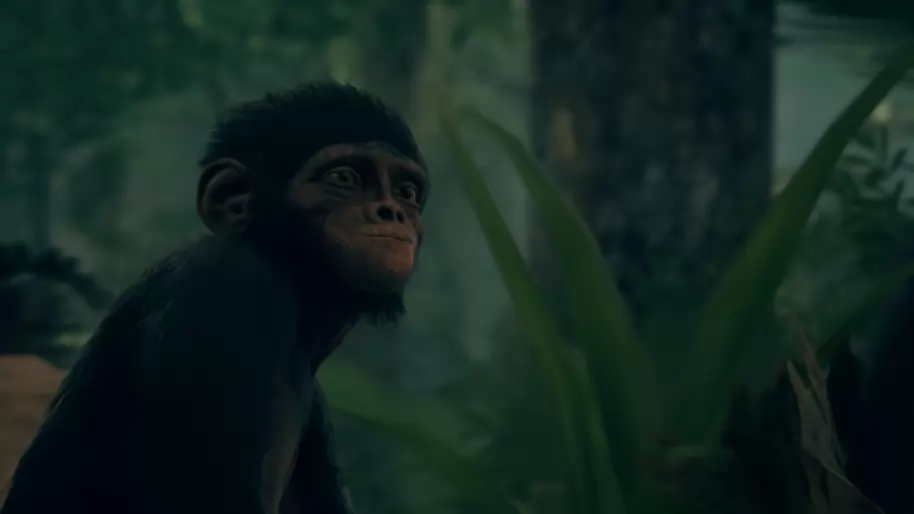 Ancestors The Humankind Odyssey