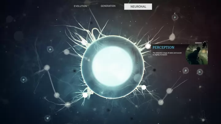 Ancestors The Humankind Odyssey