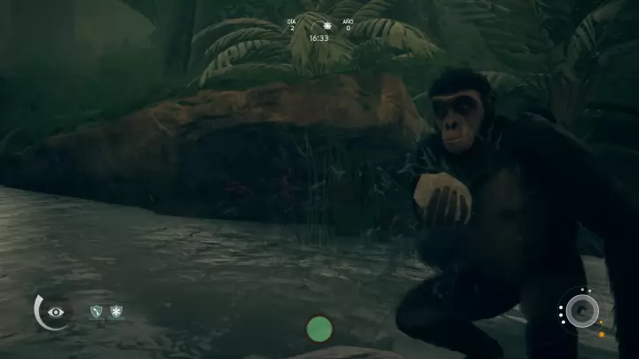 Ancestors The Humankind Odyssey