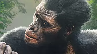 ¡Evolución! Nuevo vídeo a fondo de Ancestors: The Humankind Odyssey