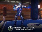 Carátula de Voice of Steel - PC
