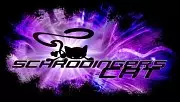 Schrödinger's Cat and the Raiders of the Lost Quark
