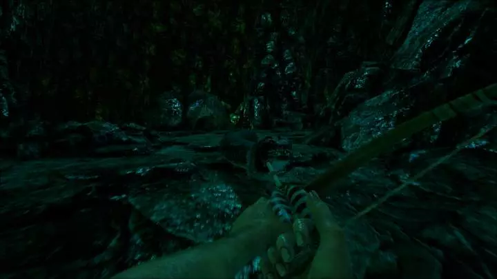 ARK Survival Evolved - PC