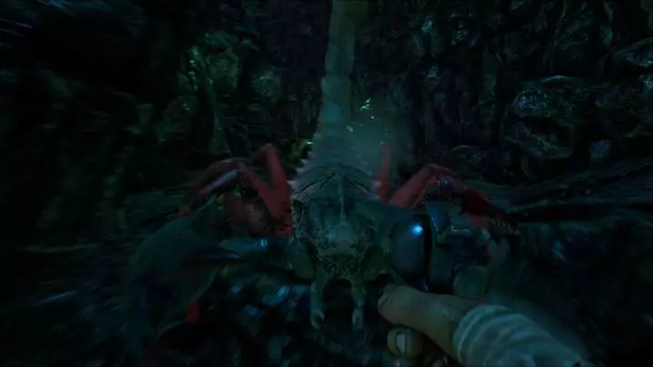 ARK Survival Evolved